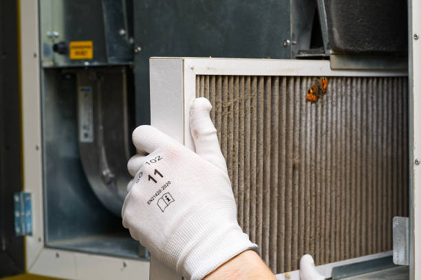 Best Affordable Duct Cleaning Services  in Thief River Falls, MN