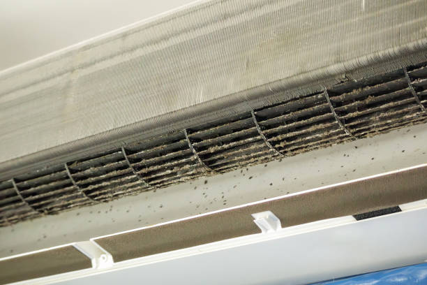 Best Ventilation Cleaning Services  in Thief River Falls, MN