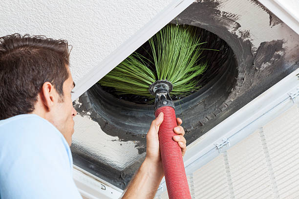 Best HVAC Duct Inspection Services  in Thief River Falls, MN
