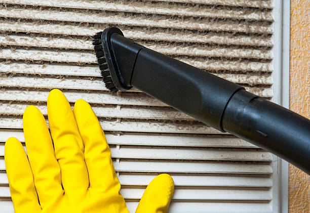 Best Affordable Air Duct Cleaning  in Thief River Falls, MN